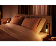 Philips Hue White ambiance Smart Żarówka Filamanet ST64 E27 8719514301467 - 678463 - zdjęcie 5